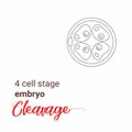 illustration of a 4 cell stage embryo. Four cell stage line icon. Minimalist cleavage 4 cell outline drawing