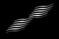 Central abstract white lines positioned obliquely on a black background illustration.