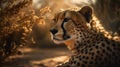 Illustration of a cheetah stalking its prey with its flock Royalty Free Stock Photo