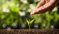 Illustration of chemical elements and woman pouring water on young seedling in soil against blurred background Royalty Free Stock Photo