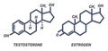 Illustration of chemical formula for male and female hormones Testosterone and Estrogen