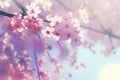 Cherry blossom generated by ai Royalty Free Stock Photo