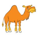 Illustration of the chewing orange camel with one hump Royalty Free Stock Photo