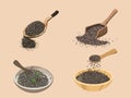 Tiny Powerhouses - Illustration of Chia Seeds