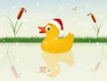 Chick with Christmas hat