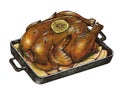 Illustration of chicken heated from oven