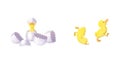 Illustration for Children: Baby Little Duck. Royalty Free Stock Photo