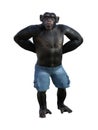Illustration of a chimpanzee wearing shorts standing with both hands behind his back with a smile on his face