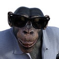 Illustration of a chimpanzee wearing sunglasses on a white background