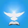 Illustration for Christian Community: Dove as Holy spirit and opened Bible. Royalty Free Stock Photo