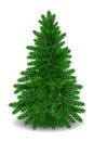 Realistic Christmas tree. Vector