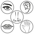 Illustration close up five senses, caucasian person