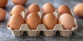 Close up of fresh eggs in an egg carton on a grey background, in a closeup style. Royalty Free Stock Photo