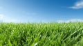 Illustration close up of a lush green grass lawn field against a blue summerâs sky. Royalty Free Stock Photo