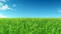 Illustration close up of a lush green grass lawn field against a blue summerâs sky. Royalty Free Stock Photo