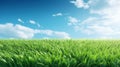 Illustration close up of a lush green grass lawn field against a blue summerâs sky. Royalty Free Stock Photo