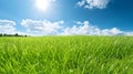 Illustration close up of a lush green grass lawn field against a blue summerâs sky. Royalty Free Stock Photo