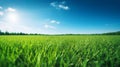 Illustration close up of a lush green grass lawn field against a blue summerâs sky. Royalty Free Stock Photo