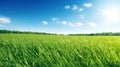 Illustration close up of a lush green grass lawn field against a blue summerâs sky. Royalty Free Stock Photo