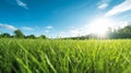 Illustration close up of a lush green grass lawn field against a blue summerâs sky. Royalty Free Stock Photo