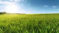 Illustration close up of a lush green grass lawn field against a blue summerâs sky. Royalty Free Stock Photo