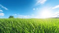 Illustration close up of a lush green grass lawn field against a blue summerâs sky. Royalty Free Stock Photo