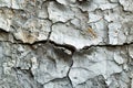 A closeup of the concrete wall texture, showcasing its rough and worn surface with visible veining patterns and subtle grey t Royalty Free Stock Photo