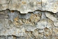 A closeup of the concrete wall texture, showcasing its rough and worn surface with visible veining patterns and subtle grey t Royalty Free Stock Photo