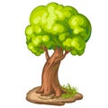 Illustration of a closeup tree