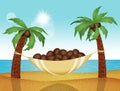 Illustration of coconuts in the hammock