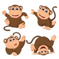 The collection of the baby monkey with different posing