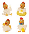 Collection of cute chicken with various posing