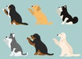 Illustration Collection of middle large dogs shaking hands flat colored Royalty Free Stock Photo