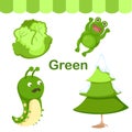 Illustration of color green group