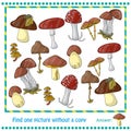 Illustration with color mushrooms