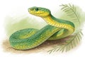 Illustration, colored with photoshop of a nice snake Royalty Free Stock Photo