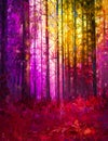 Illustration colorful autumn forest. Abstract image of fall season, yellow and red leaf on tree, outdoor landscape. Royalty Free Stock Photo