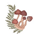 Illustration of colorful cartoon false mushroom with fern stems on white background. Honey mushrooms with herbal decoration.