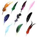 Illustration Colorful Different Shapes Feathers Gamedev Items