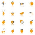 Illustration of colorful fruit and berry icons isolated on a white background