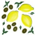 Illustration of colorful lemons and olives with leaves