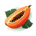 Illustration of colorful papaya on white background.