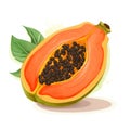 Illustration of colorful papaya on white background.