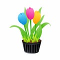 Illustration of Colorful Tulips in Flower Pot, Flat Design Royalty Free Stock Photo