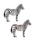 Illustration for a coloring book in color and black and white. Drawing of a zebra on a white isolated background. Royalty Free Stock Photo