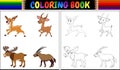 Coloring book with horned animals collection