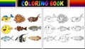 Coloring book various fishes