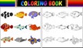 Coloring book various fishes