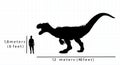 Comparison of an allosaurus` size with a human`s size