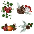 Illustration of 4 compositions of winter plants on a white background. Ivy, cranberry, cones, rowan, cypress, orange, holly.